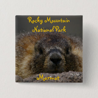 Marmot at Rocky Mountian National Park 15 Cm Square Badge