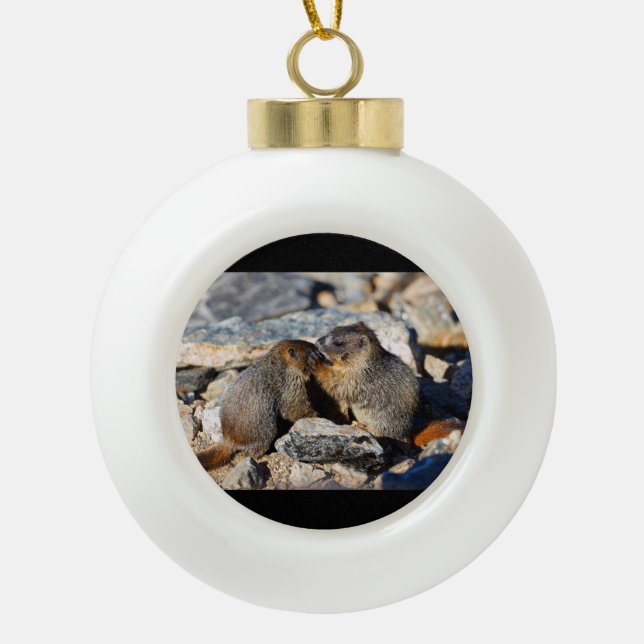 marmot babies ceramic ball christmas ornament (Front)
