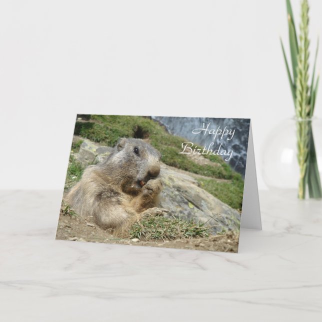 Marmot birthday card (Front)