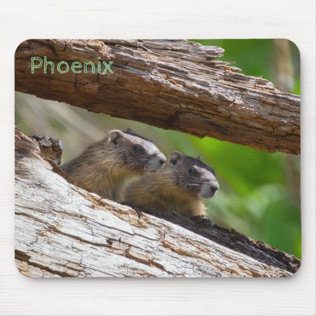 Marmot Brothers Mouse Mat (Front)