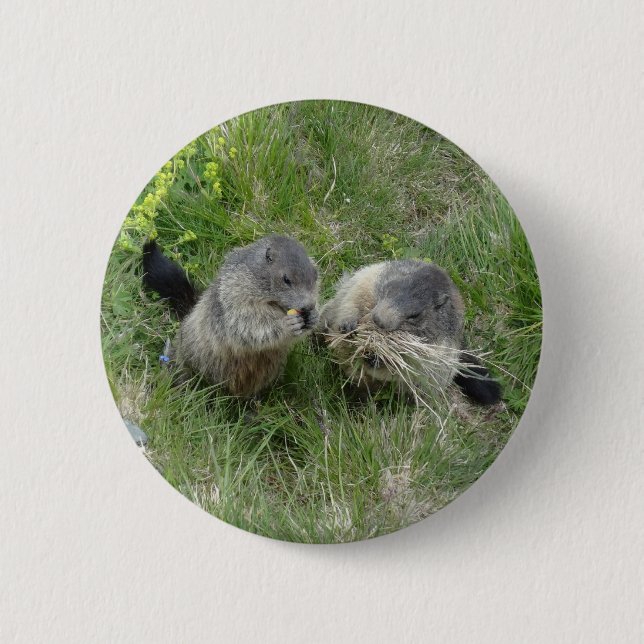 Marmot button (Front)