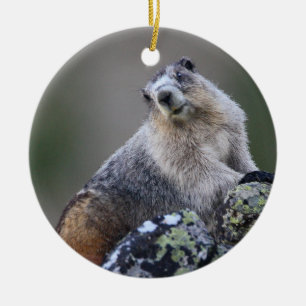 marmot ceramic tree decoration