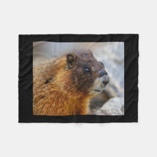 marmot fleece blanket