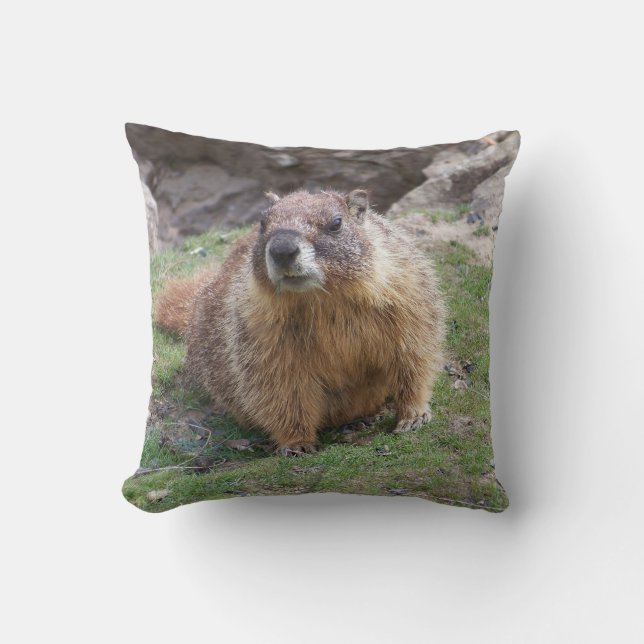 Marmot from Palouse Falls State Park Pillow (Front)