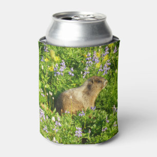 Marmot in Mount Rainier Wildflowers Can Cooler