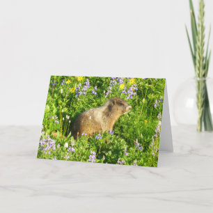Marmot in Mount Rainier Wildflowers Card
