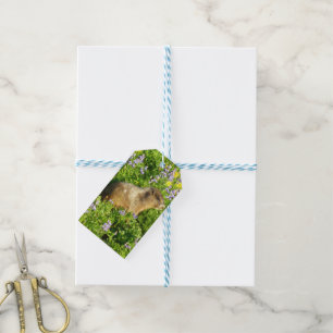 Marmot in Mount Rainier Wildflowers Gift Tags