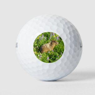 Marmot in Mount Rainier Wildflowers Golf Balls