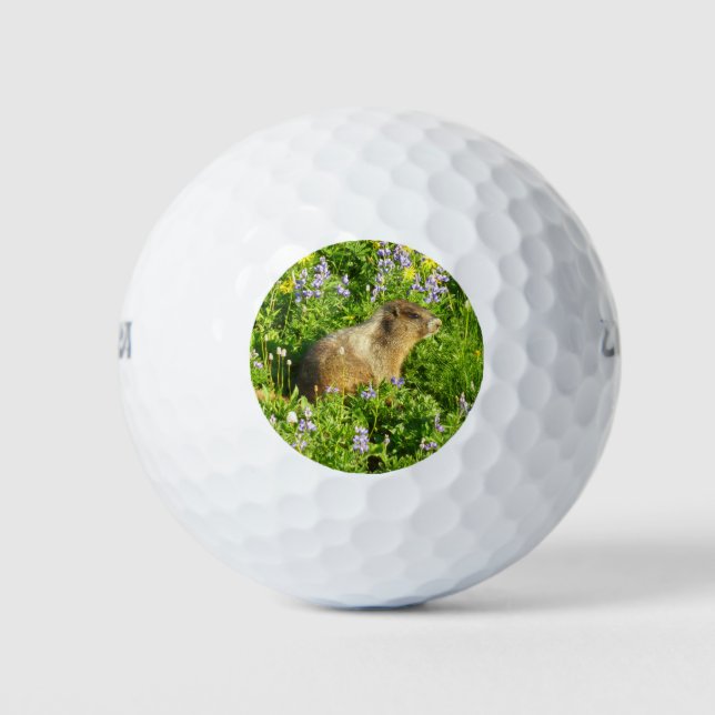 Marmot in Mount Rainier Wildflowers Golf Balls (Front)
