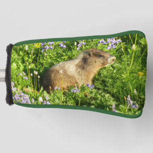 Marmot in Mount Rainier Wildflowers Golf Head Cover