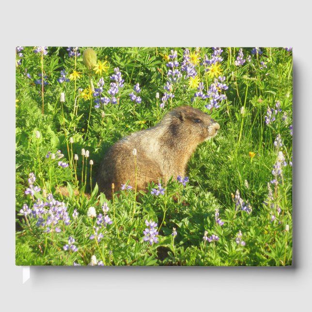 Marmot in Mount Rainier Wildflowers Guest Book (Front)
