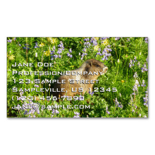Marmot in Mount Rainier Wildflowers Magnetic Business Card