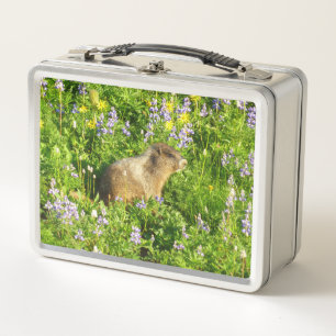 Marmot in Mount Rainier Wildflowers Metal Lunch Box