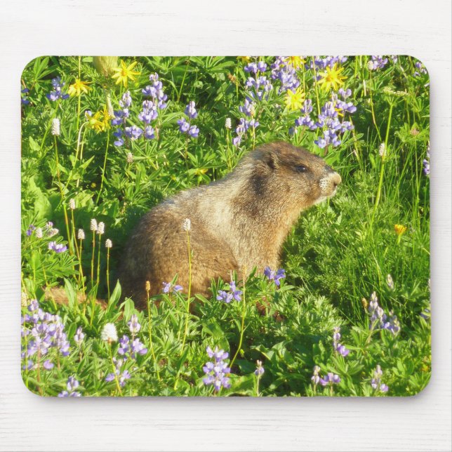 Marmot in Mount Rainier Wildflowers Mouse Mat (Front)