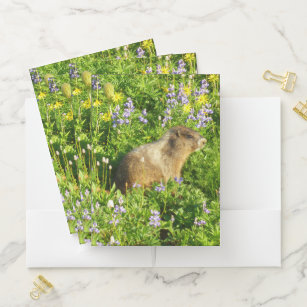 Marmot in Mount Rainier Wildflowers Pocket Folder