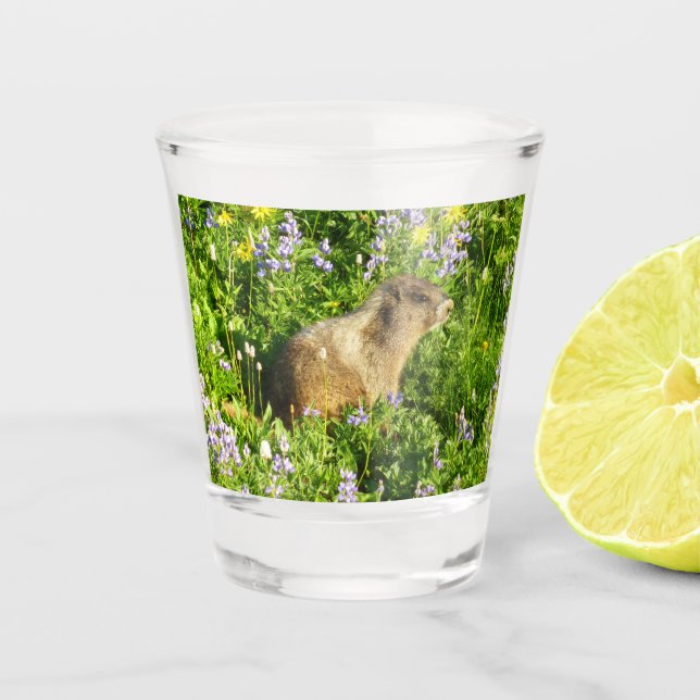 Marmot in Mount Rainier Wildflowers Shot Glass (Front)