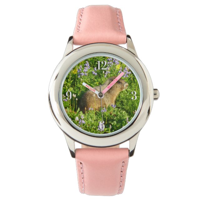 Marmot in Mount Rainier Wildflowers Watch (Front)