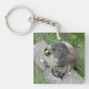 Marmot key chain