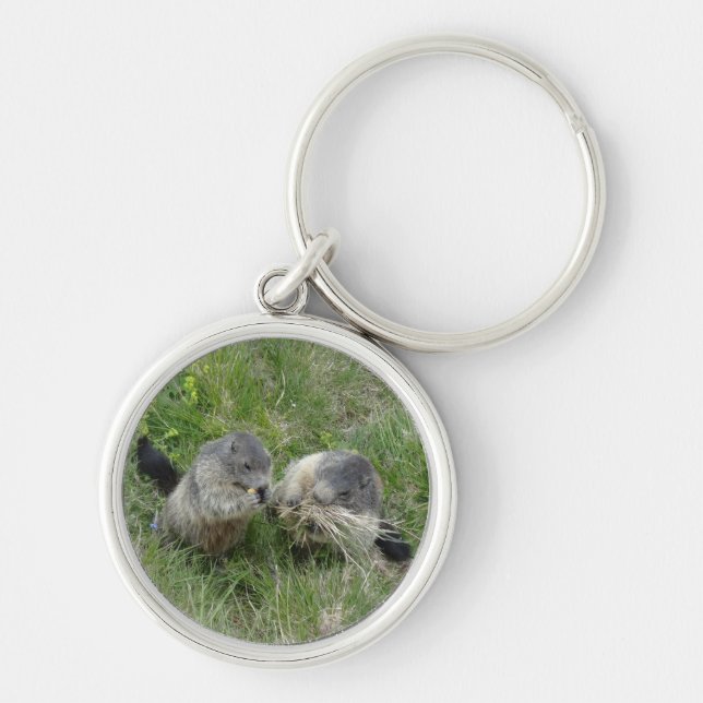 Marmot key chain (Front)