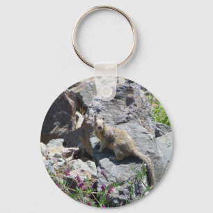 marmot key ring