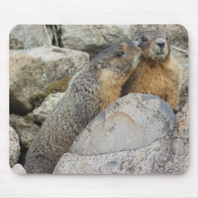 Marmot Love Mouse Mat (Front)