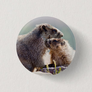 Marmot Mother with Baby 3 Cm Round Badge
