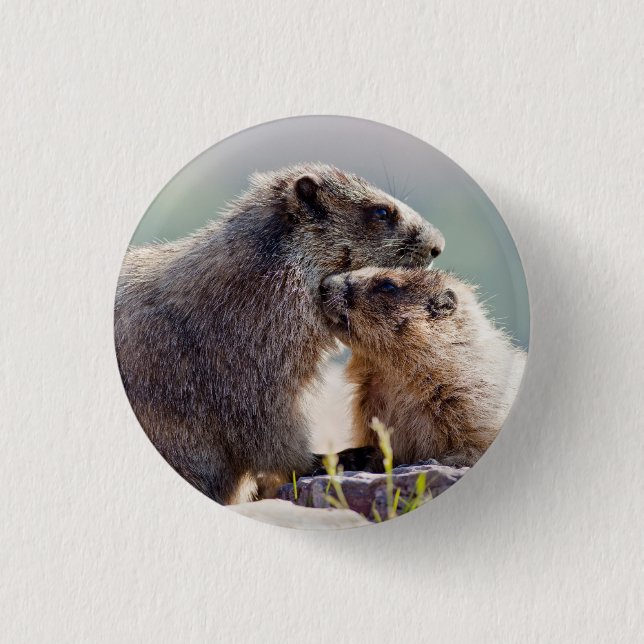 Marmot Mother with Baby 3 Cm Round Badge (Front)
