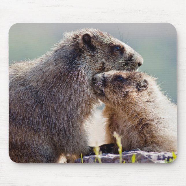Marmot Mother with Baby Mouse Mat (Front)