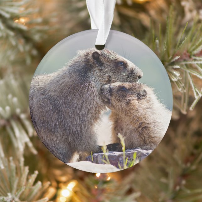 Marmot Mother with Baby Ornament (Tree)