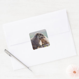 Marmot Mother with Baby Square Sticker