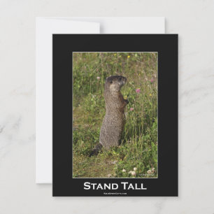 Marmot Motivational Invitation Card
