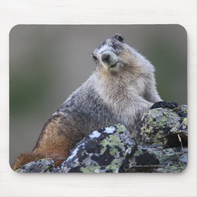 Marmot Mouse Mat (Front)