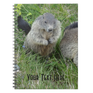 Marmot notebook