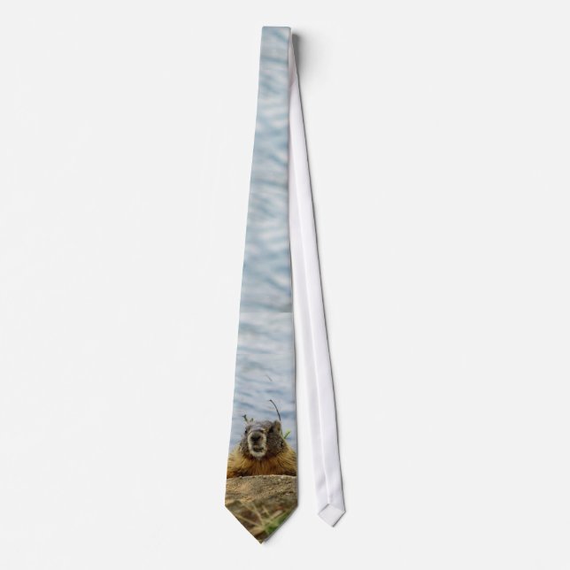 Marmot says Hi Tie (Front)