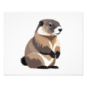 Marmot Vector Graphic Art Portrait Animal Spirit Photo Print