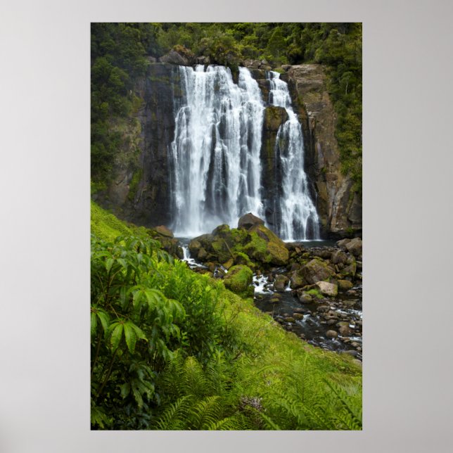 Marokopa waterfall, New Zealand Poster (Front)