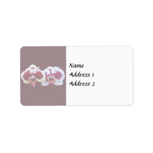 Maroon and White Phalaenopsis Orchids Side by Side Label
