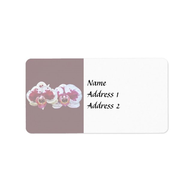 Maroon and White Phalaenopsis Orchids Side by Side Label (Front)