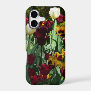 Maroon and Yellow Tulips Colourful Floral