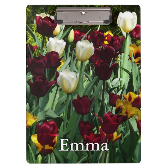 Maroon and Yellow Tulips Colourful Floral Clipboard (Front)