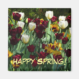 Maroon and Yellow Tulips Colourful Floral Magnet