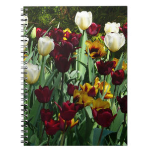 Maroon and Yellow Tulips Colourful Floral Notebook