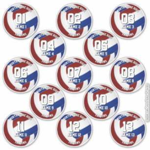 maroon blue volleyball stickers for 13 athletes