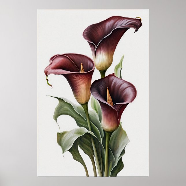 Maroon Calla Lilies Lily Flower Art Print Poster (Front)
