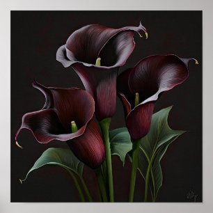 Maroon Calla Lilies Lily Flower Art Print Poster