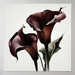 Maroon Calla Lilies Lily Flower Art Print Poster