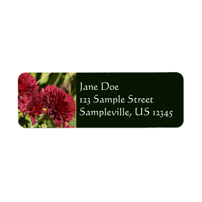 Maroon Chrysanthemums (Front)
