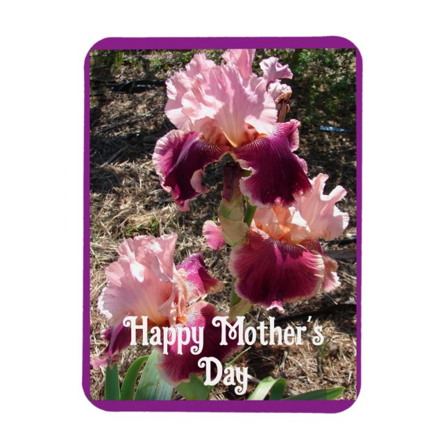 Maroon Flowers Floral Iris Irises Mothers Day Card Magnet (Vertical)