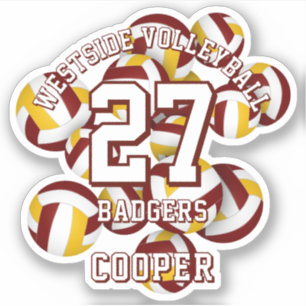 maroon gold team colours volleyballs kids name