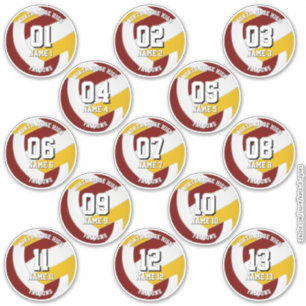 maroon gold volleyball team colours 13 athletes